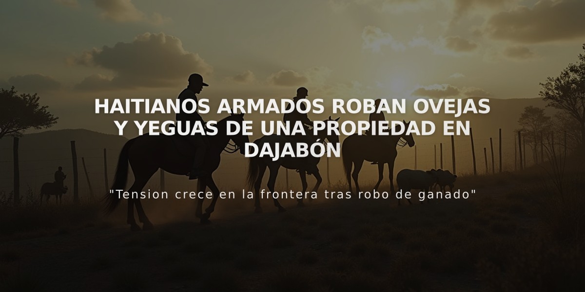 Haitianos armados roban ovejas y yeguas de una propiedad en Dajabón