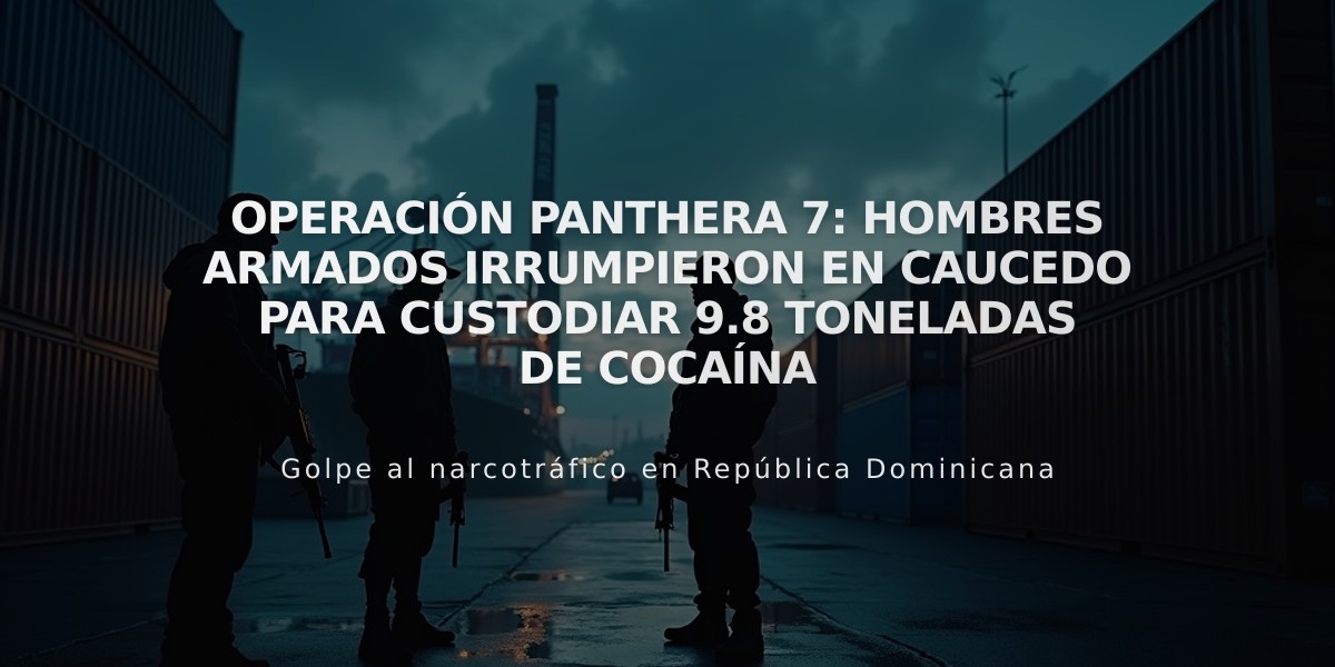 Operación Panthera 7: Hombres armados irrumpieron en Caucedo para custodiar 9.8 toneladas de cocaína