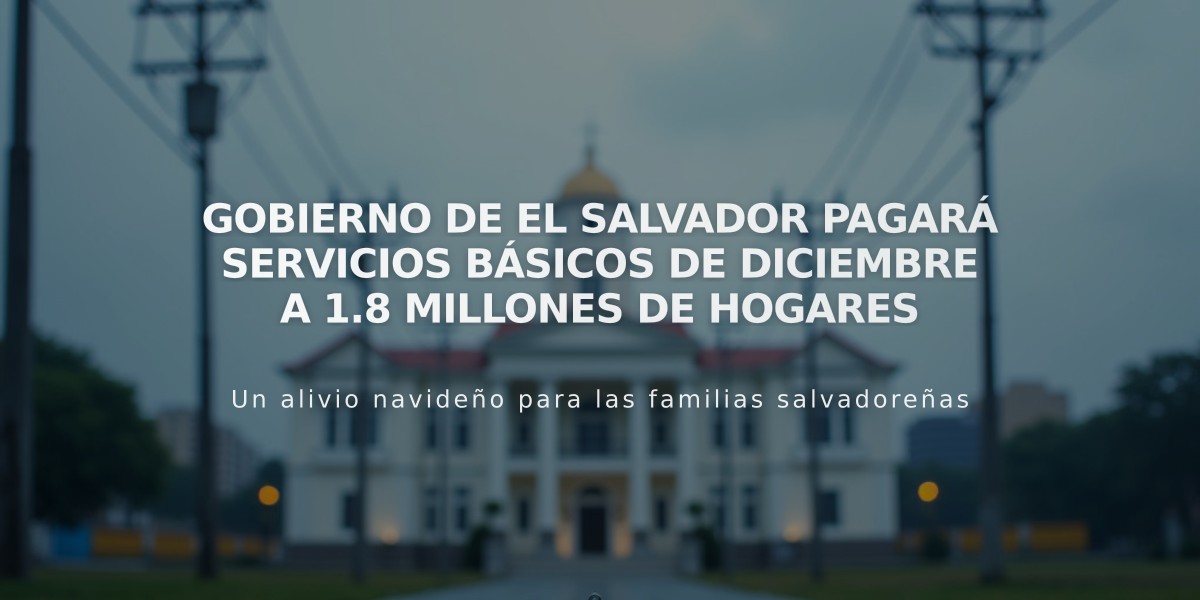 Gobierno de El Salvador pagará servicios básicos de diciembre a 1.8 millones de hogares