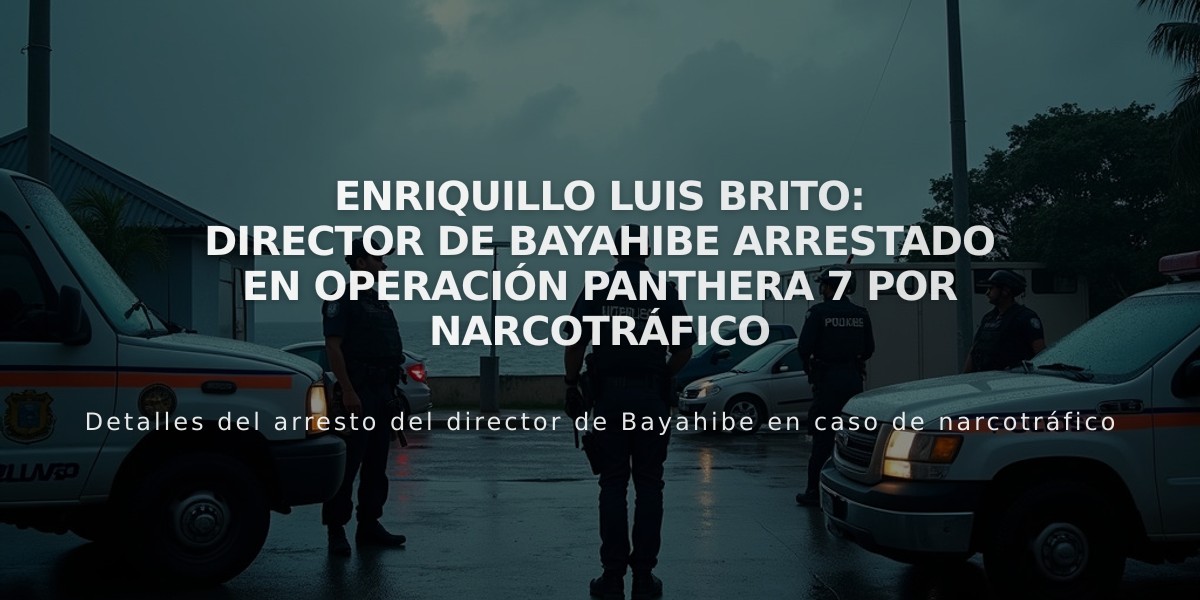 Enriquillo Luis Brito: Director de Bayahibe arrestado en Operación Panthera 7 por narcotráfico