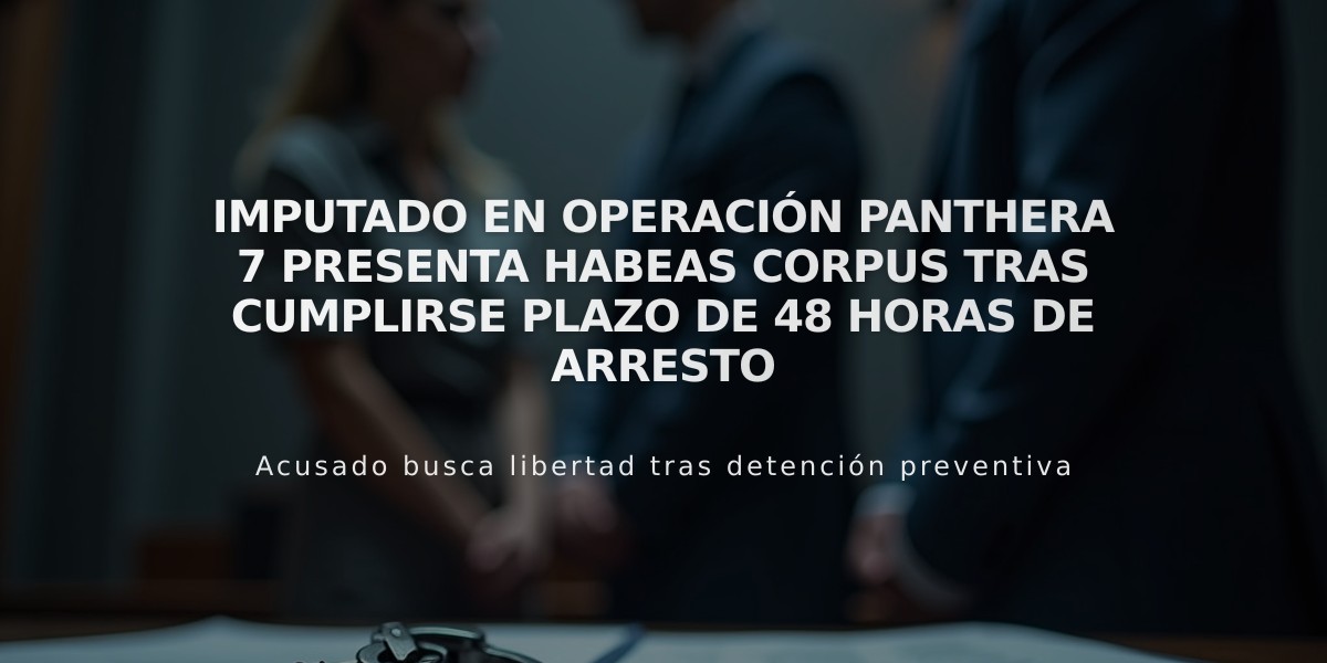 Imputado en Operación Panthera 7 presenta habeas corpus tras cumplirse plazo de 48 horas de arresto