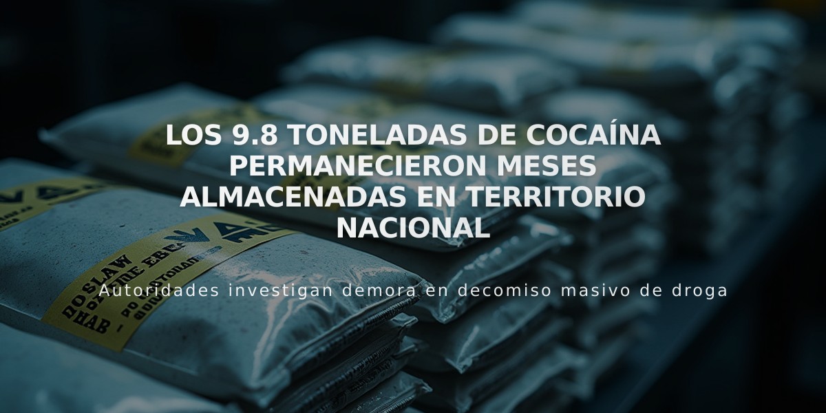 Los 9.8 toneladas de cocaína permanecieron meses almacenadas en territorio nacional