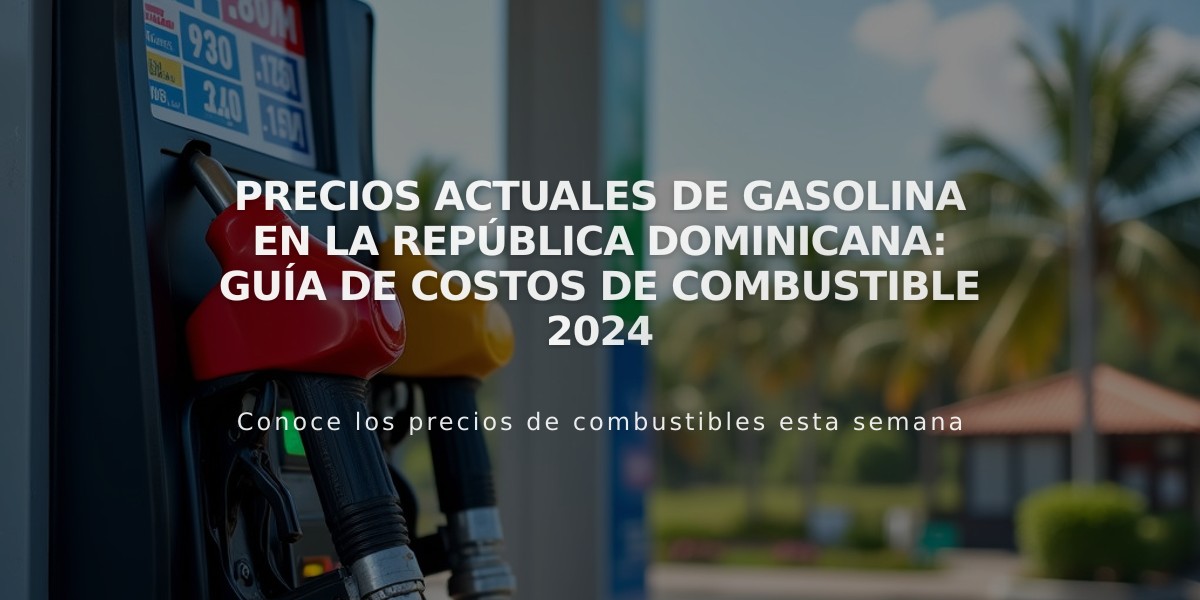 Precios actuales de gasolina en la República Dominicana: Guía de costos de combustible 2024