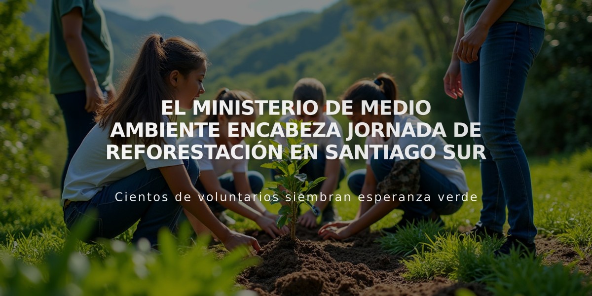 El Ministerio de Medio Ambiente encabeza jornada de reforestación en Santiago Sur