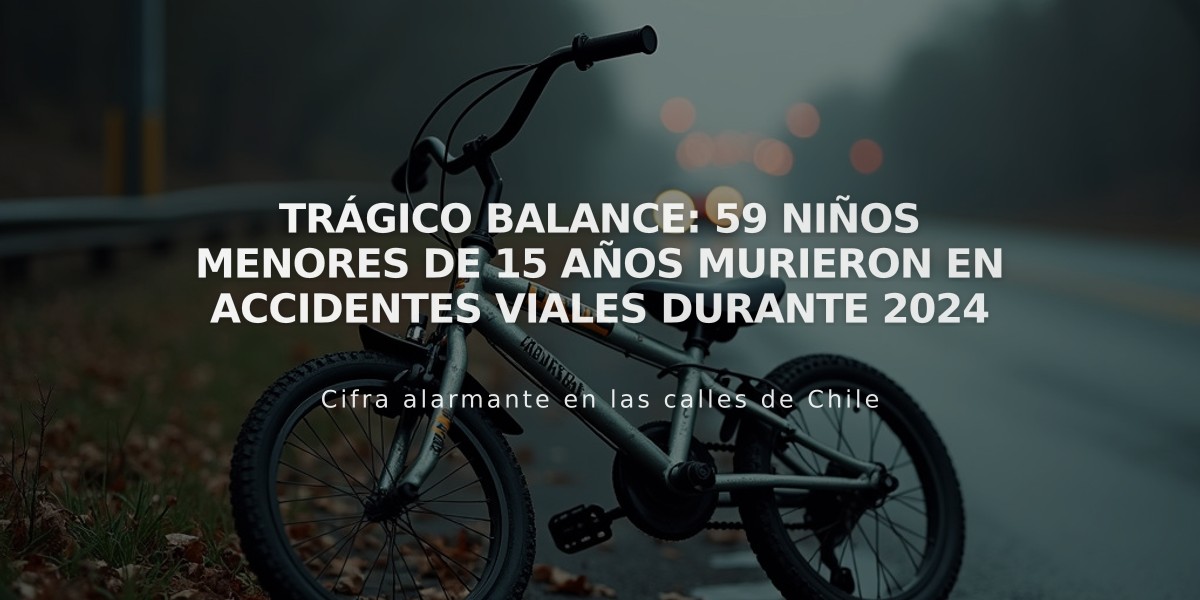 Trágico balance: 59 niños menores de 15 años murieron en accidentes viales durante 2024