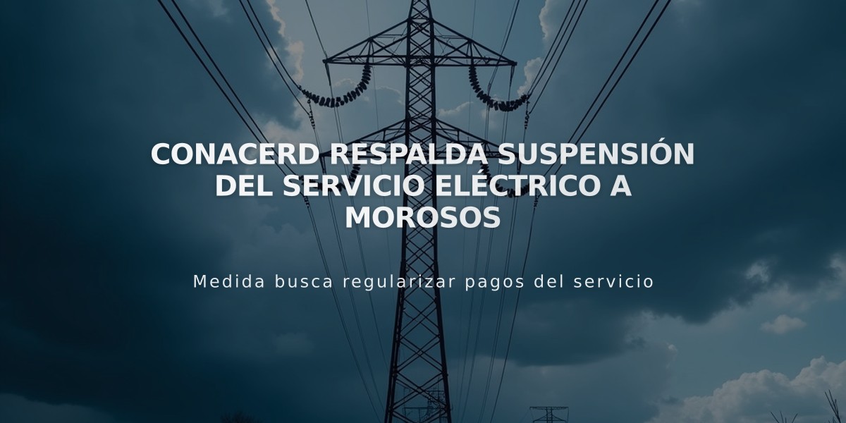 Conacerd respalda suspensión del servicio eléctrico a morosos