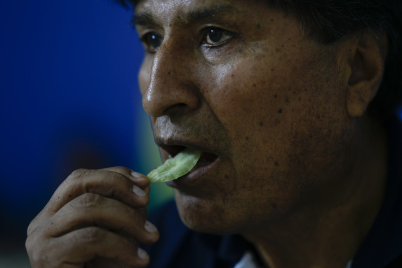 Hombre comiendo hoja verde fresca