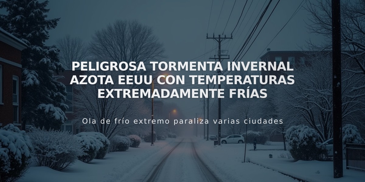 Peligrosa tormenta invernal azota EEUU con temperaturas extremadamente frías