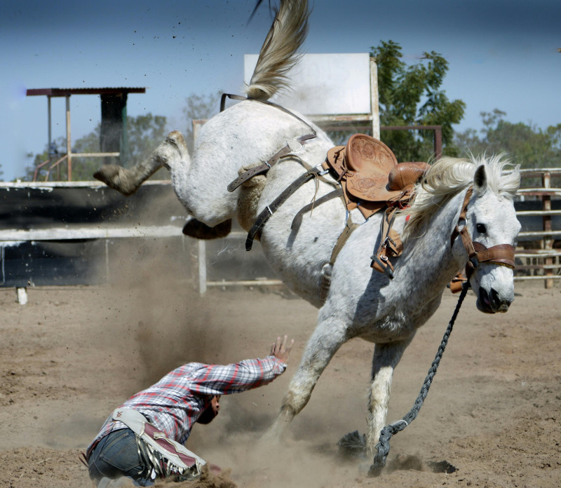 Jinete cae de caballo salvaje