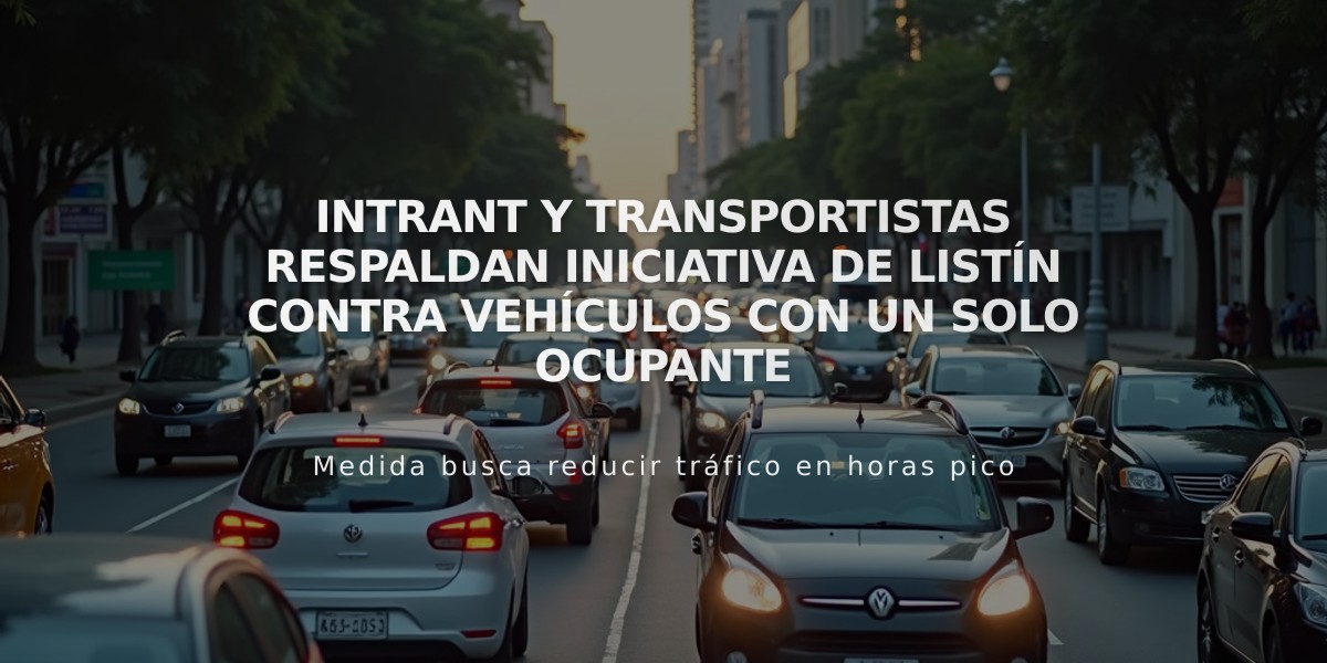 Intrant y transportistas respaldan iniciativa de LISTÍN contra vehículos con un solo ocupante