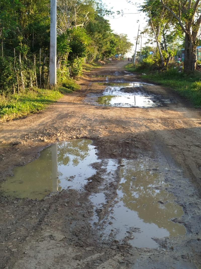 Camino de tierra con charcos