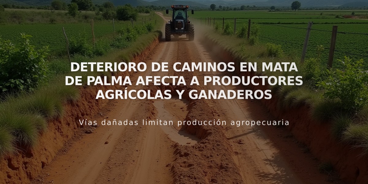 Deterioro de caminos en Mata de Palma afecta a productores agrícolas y ganaderos