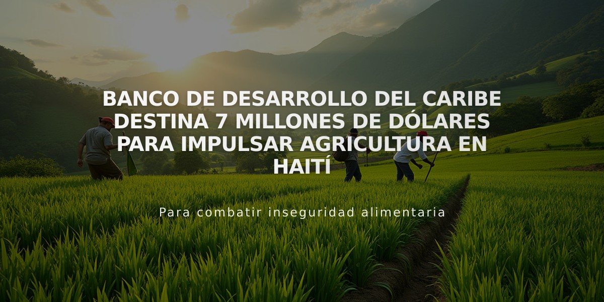 Banco de Desarrollo del Caribe destina 7 millones de dólares para impulsar agricultura en Haití