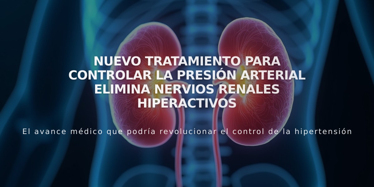 Nuevo tratamiento para controlar la presión arterial elimina nervios renales hiperactivos