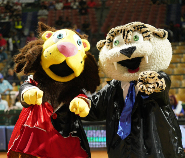 Dos mascotas deportivas posando juntas