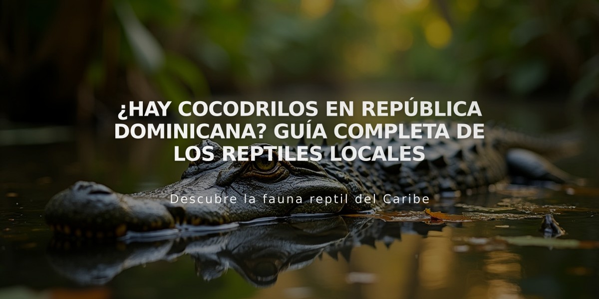 ¿Hay cocodrilos en República Dominicana? Guía completa de los reptiles locales