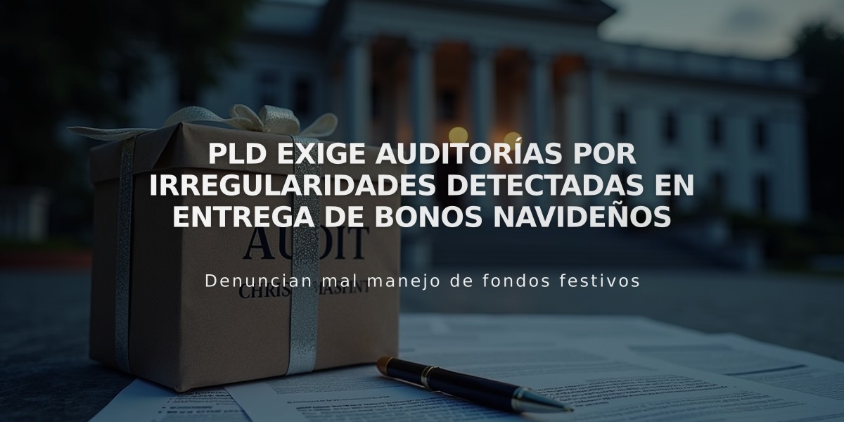 PLD exige auditorías por irregularidades detectadas en entrega de bonos navideños