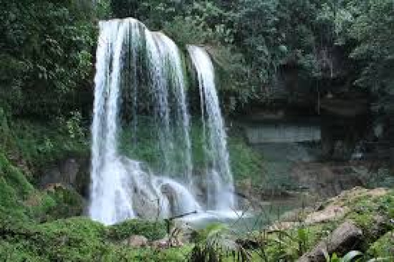 Cascada entre árboles verdes