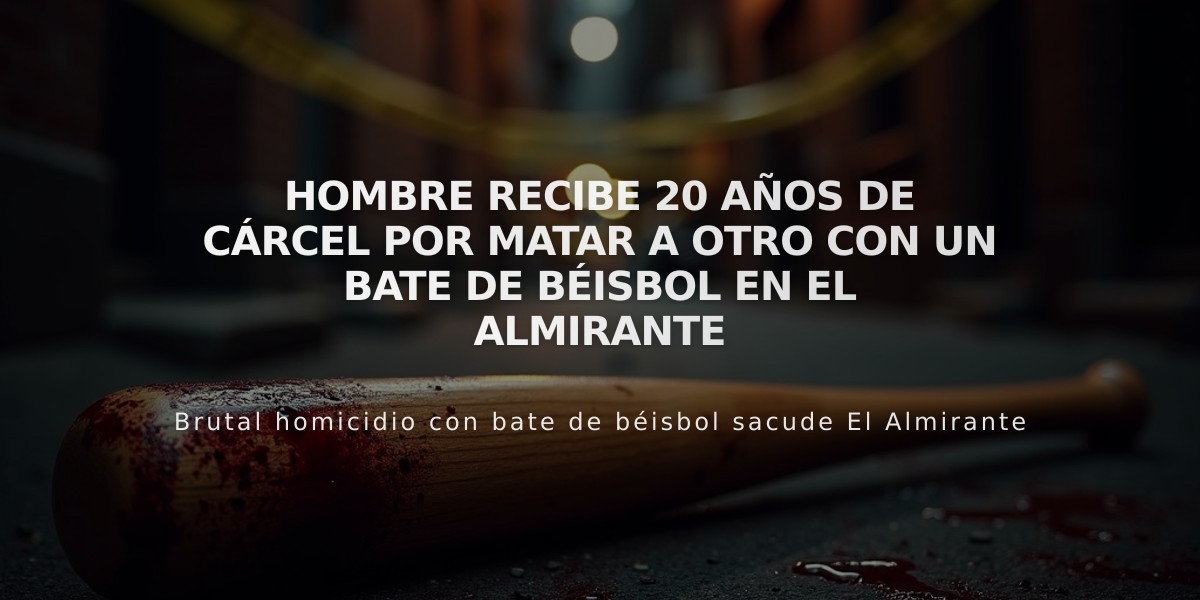 Hombre recibe 20 años de cárcel por matar a otro con un bate de béisbol en El Almirante