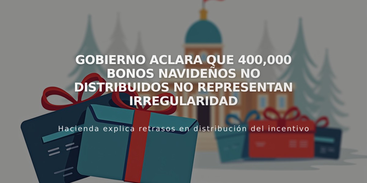 Gobierno aclara que 400,000 bonos navideños no distribuidos no representan irregularidad