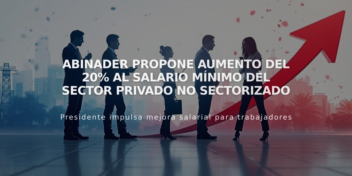 Abinader propone aumento del 20% al salario mínimo del sector privado no sectorizado