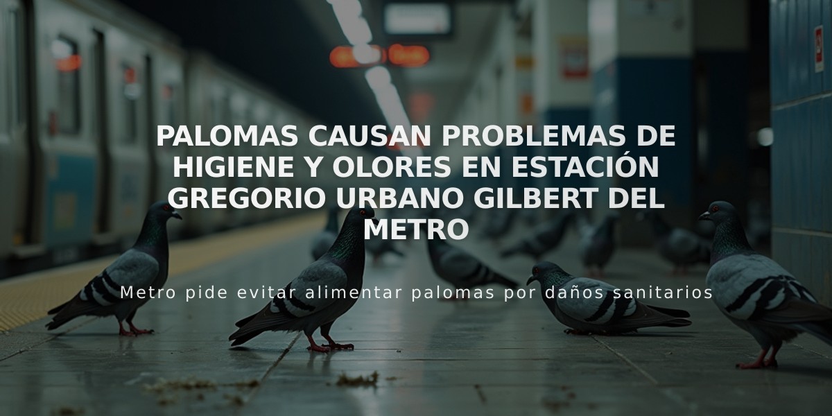 Palomas causan problemas de higiene y olores en estación Gregorio Urbano Gilbert del Metro