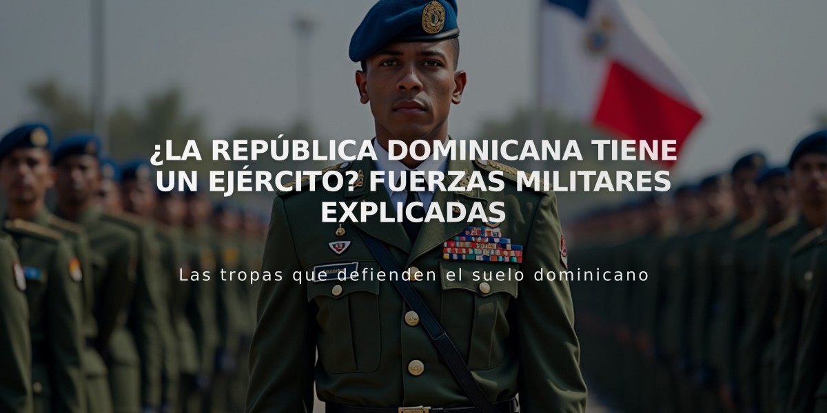 ¿La República Dominicana tiene un ejército? Fuerzas militares explicadas