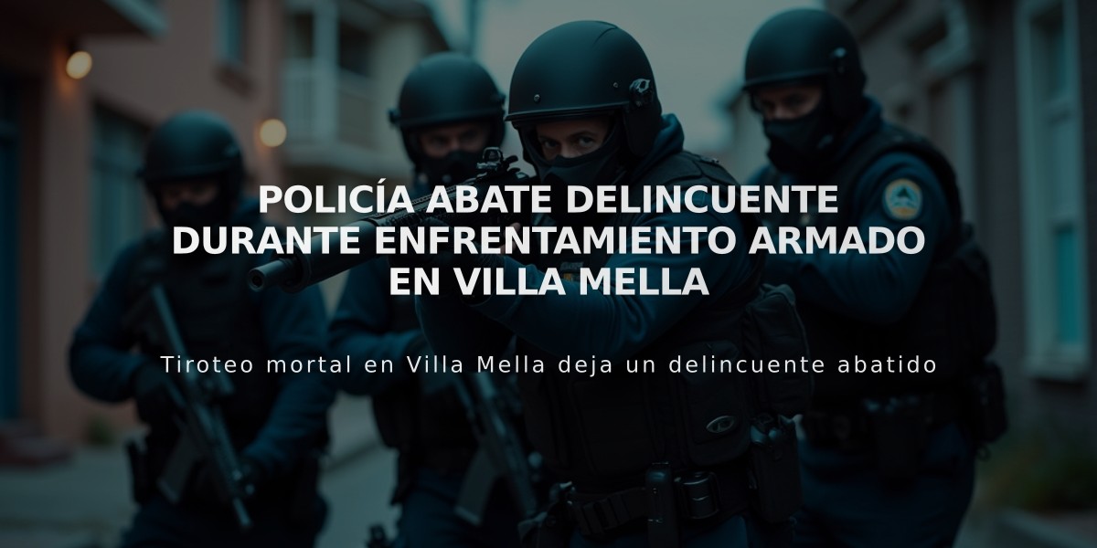 Policía abate delincuente durante enfrentamiento armado en Villa Mella