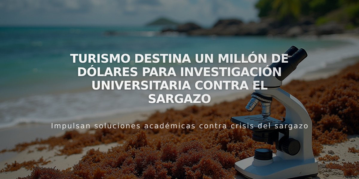 Turismo destina un millón de dólares para investigación universitaria contra el sargazo