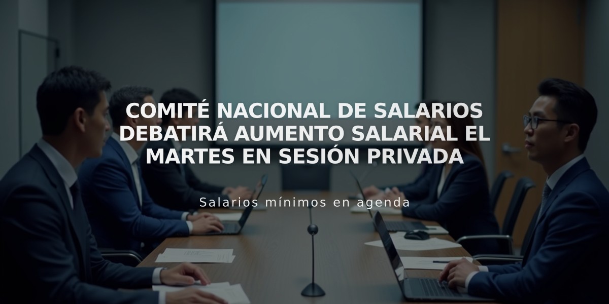 Comité Nacional de Salarios debatirá aumento salarial el martes en sesión privada