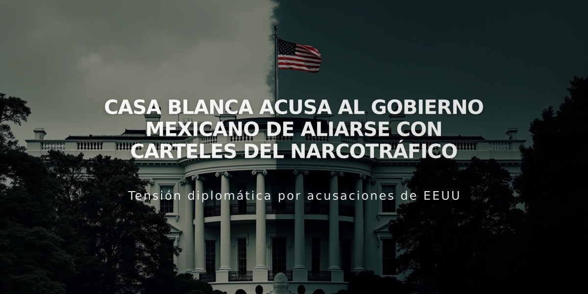 Casa Blanca acusa al gobierno mexicano de aliarse con carteles del narcotráfico