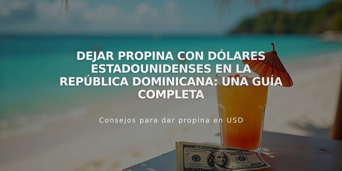 Dejar propina con dólares estadounidenses en la República Dominicana: Una guía completa