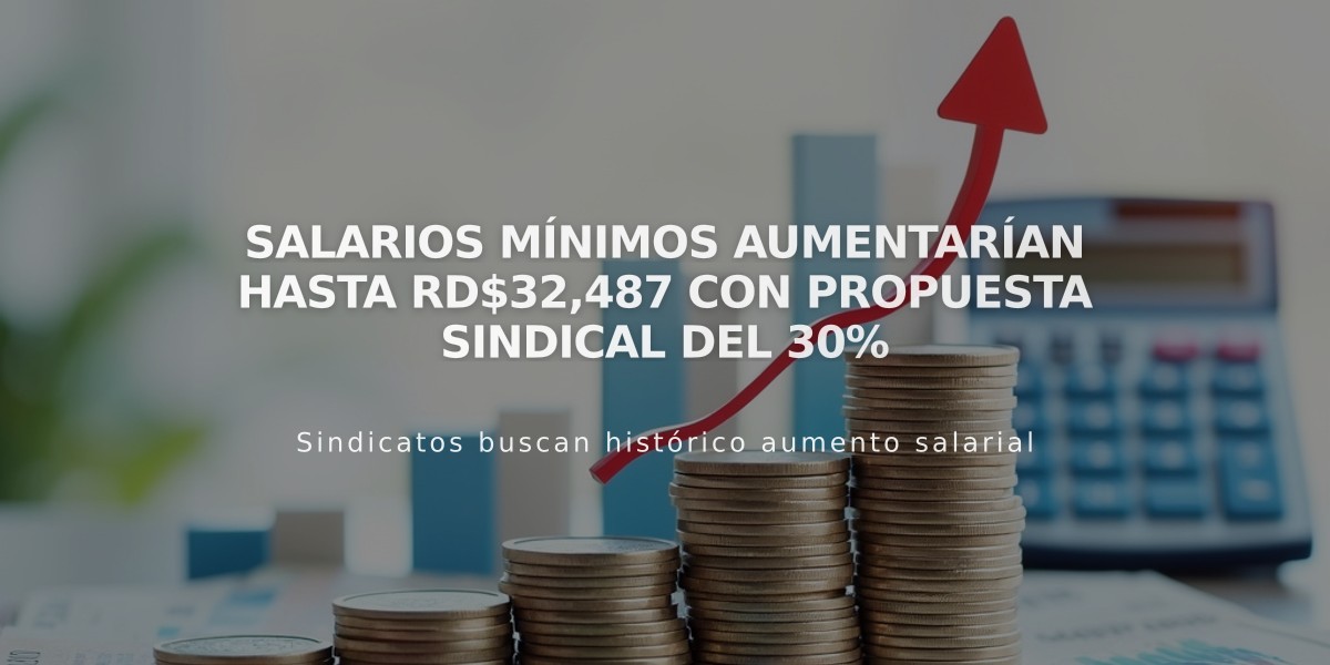 Salarios mínimos aumentarían hasta RD$32,487 con propuesta sindical del 30%