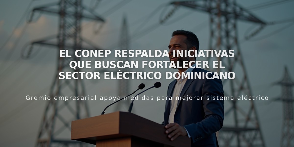 El CONEP respalda iniciativas que buscan fortalecer el sector eléctrico dominicano