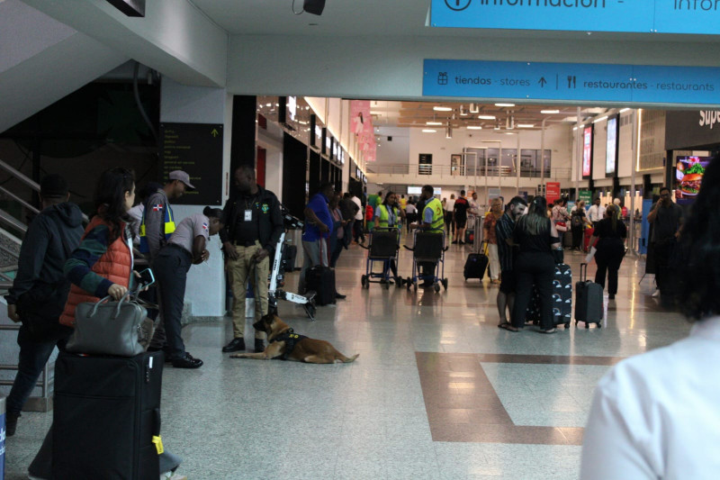 Perro policía olfateando en aeropuerto