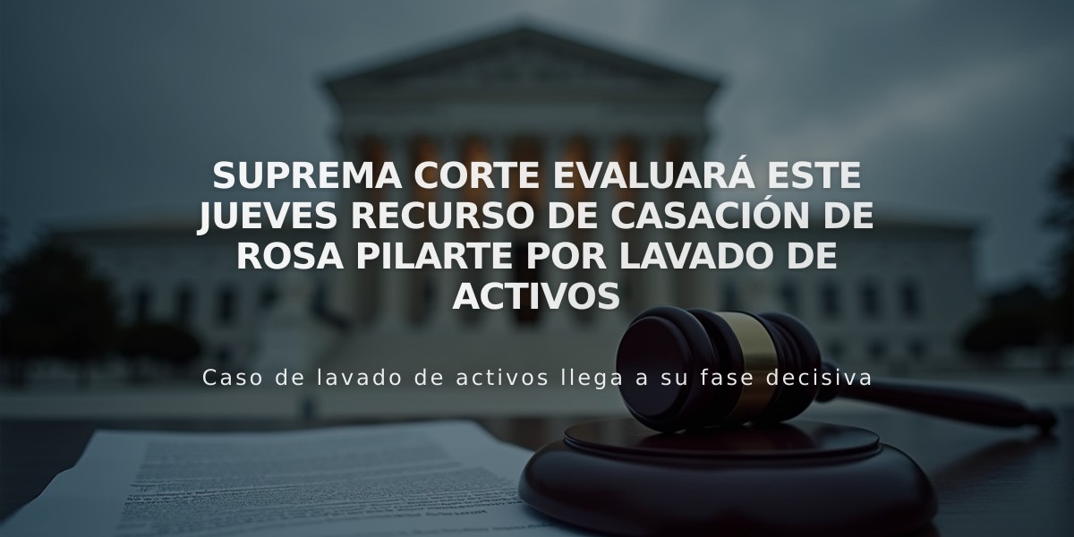 Suprema Corte evaluará este jueves recurso de casación de Rosa Pilarte por lavado de activos