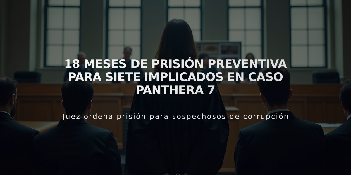 18 meses de prisión preventiva para siete implicados en caso Panthera 7