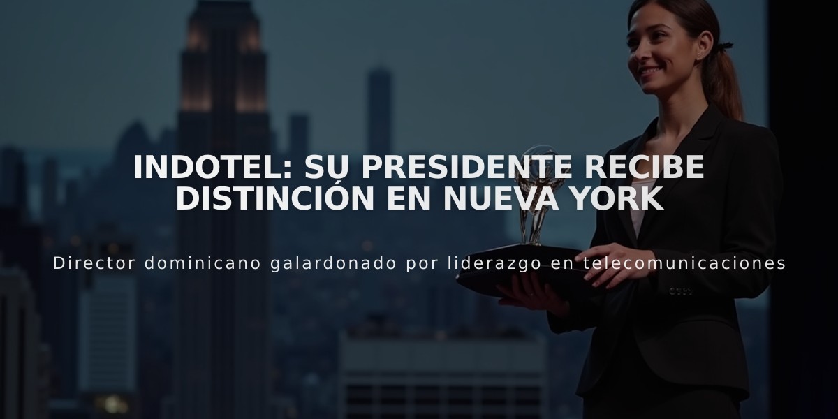 Indotel: Su presidente recibe distinción en Nueva York