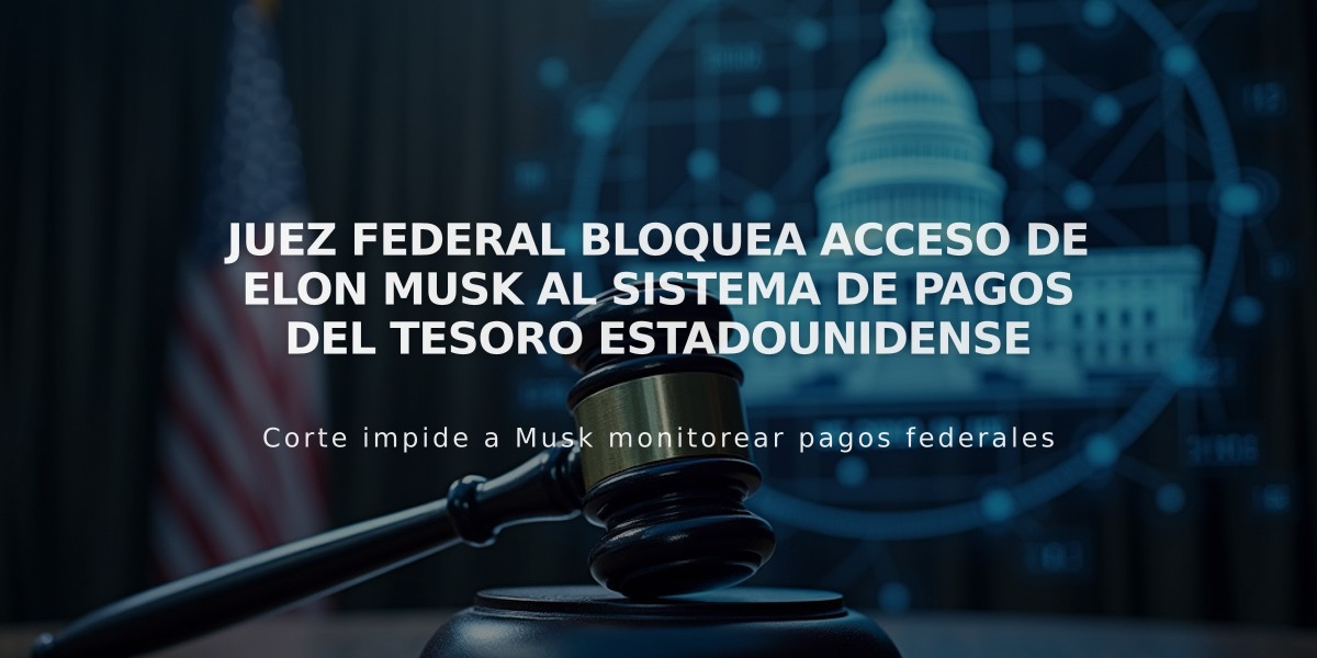 Juez federal bloquea acceso de Elon Musk al sistema de pagos del Tesoro estadounidense