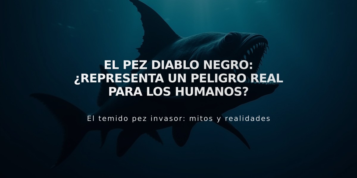 El pez diablo negro: ¿Representa un peligro real para los humanos?