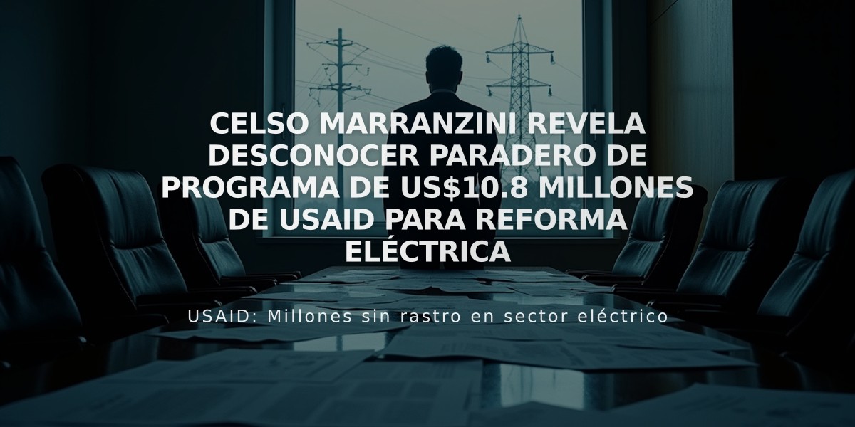 Celso Marranzini revela desconocer paradero de programa de US$10.8 millones de USAID para reforma eléctrica