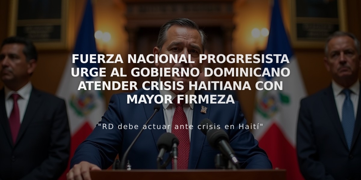 Fuerza Nacional Progresista urge al gobierno dominicano atender crisis haitiana con mayor firmeza