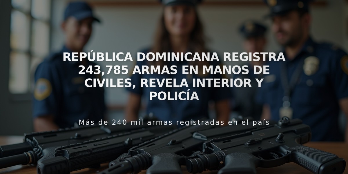 República Dominicana registra 243,785 armas en manos de civiles, revela Interior y Policía