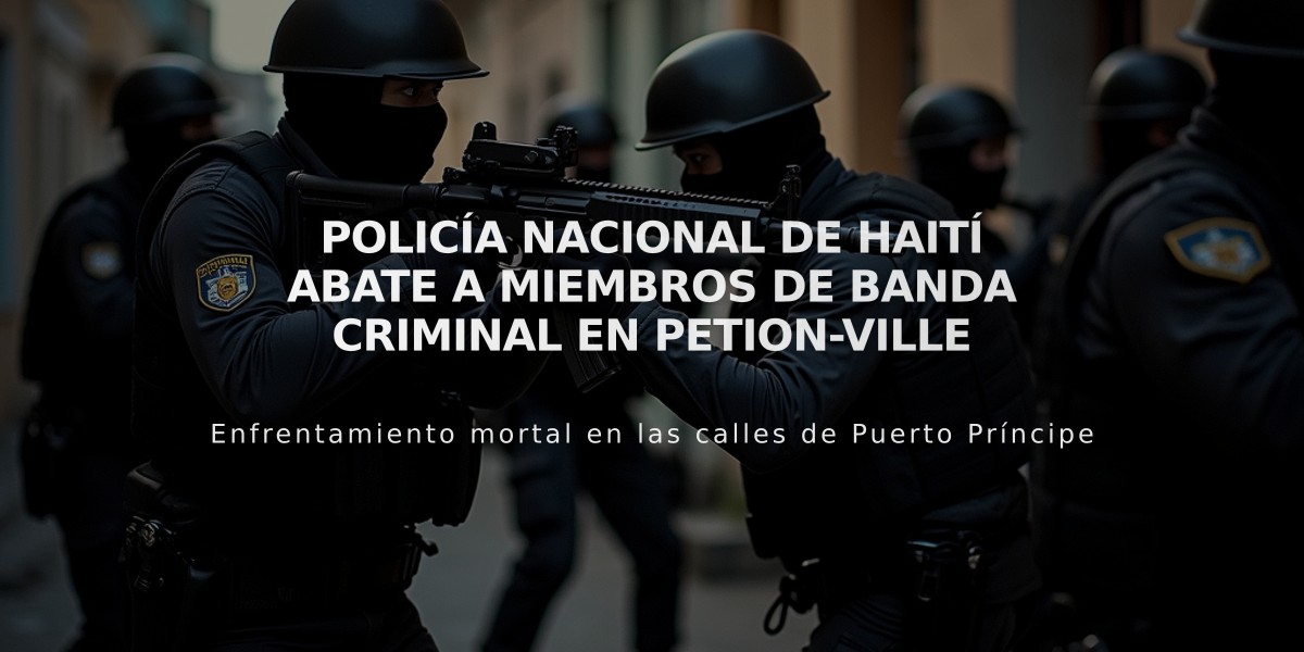 Policía Nacional de Haití abate a miembros de banda criminal en Petion-ville