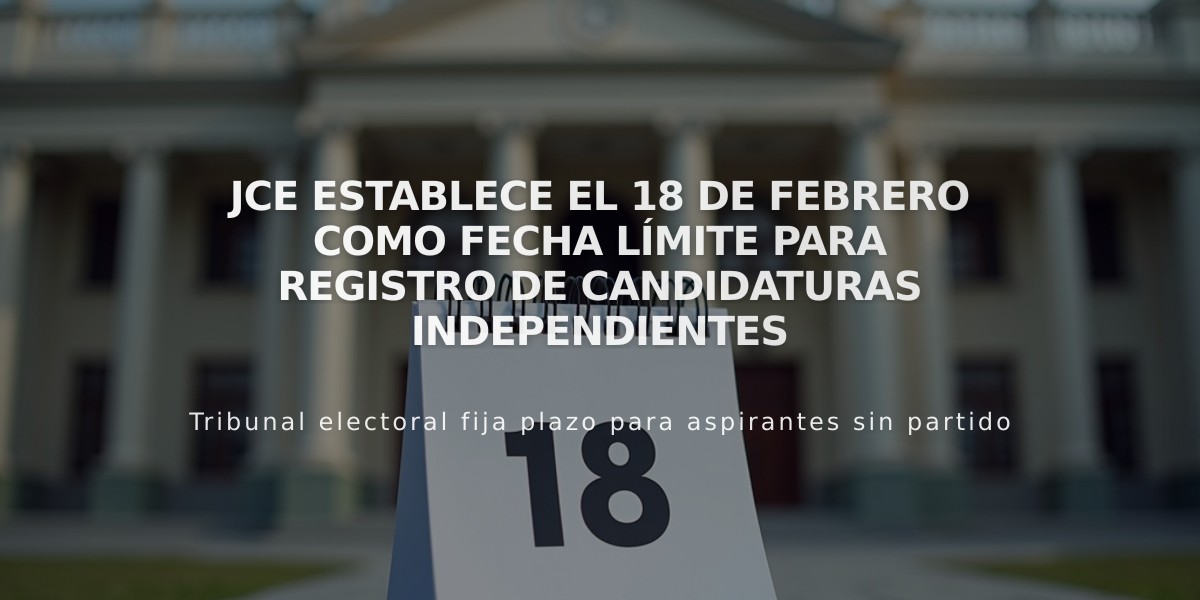 JCE establece el 18 de febrero como fecha límite para registro de candidaturas independientes