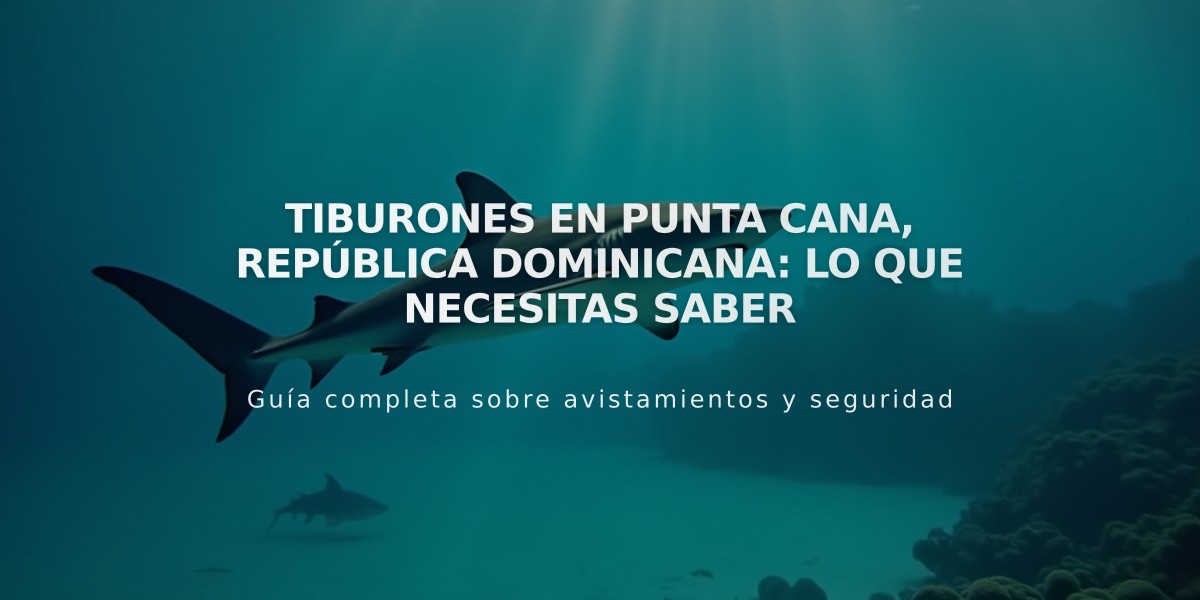 Tiburones en Punta Cana, República Dominicana: Lo que Necesitas Saber