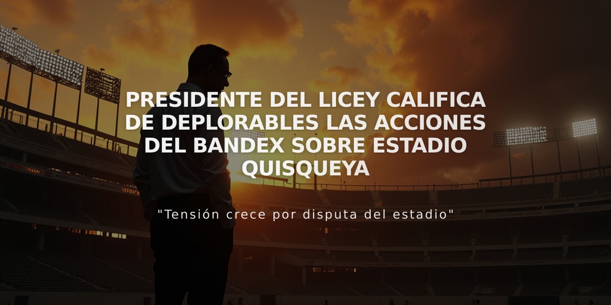 Presidente del Licey califica de deplorables las acciones del Bandex sobre estadio Quisqueya