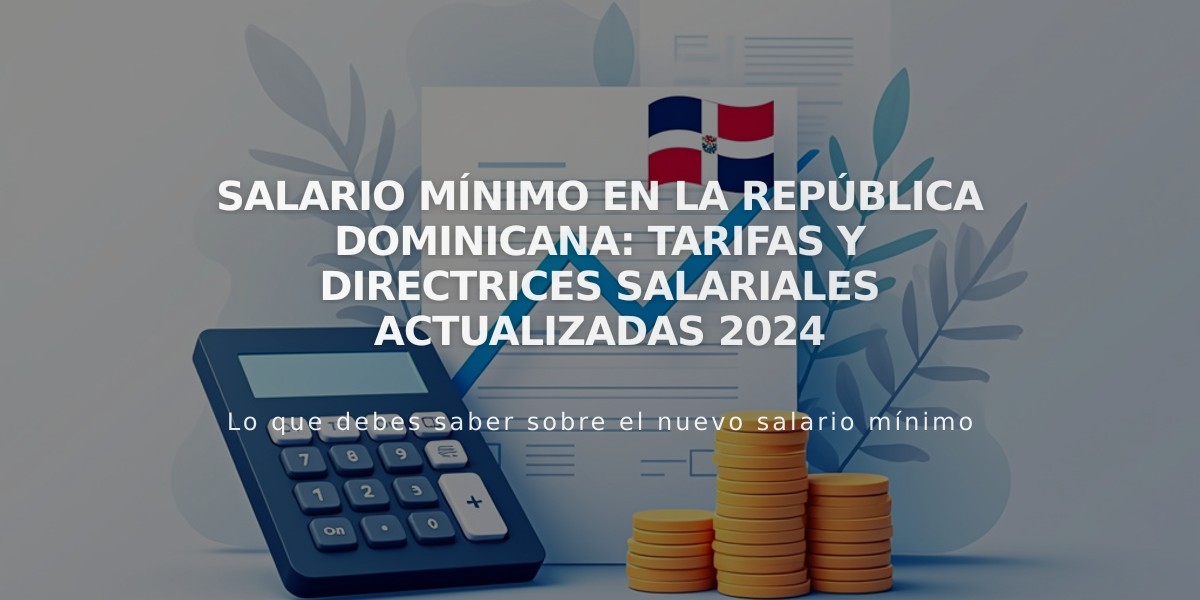 Salario Mínimo en la República Dominicana: Tarifas y Directrices Salariales Actualizadas 2024