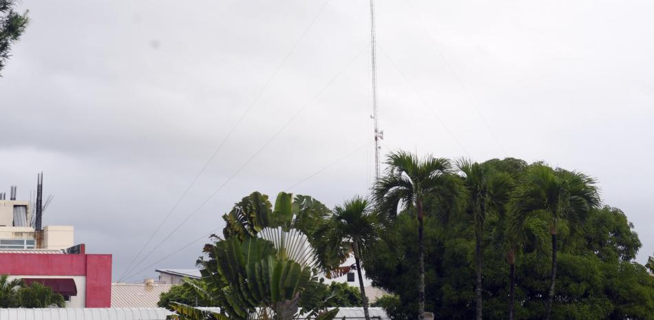 Palmeras en paisaje tropical caribeño