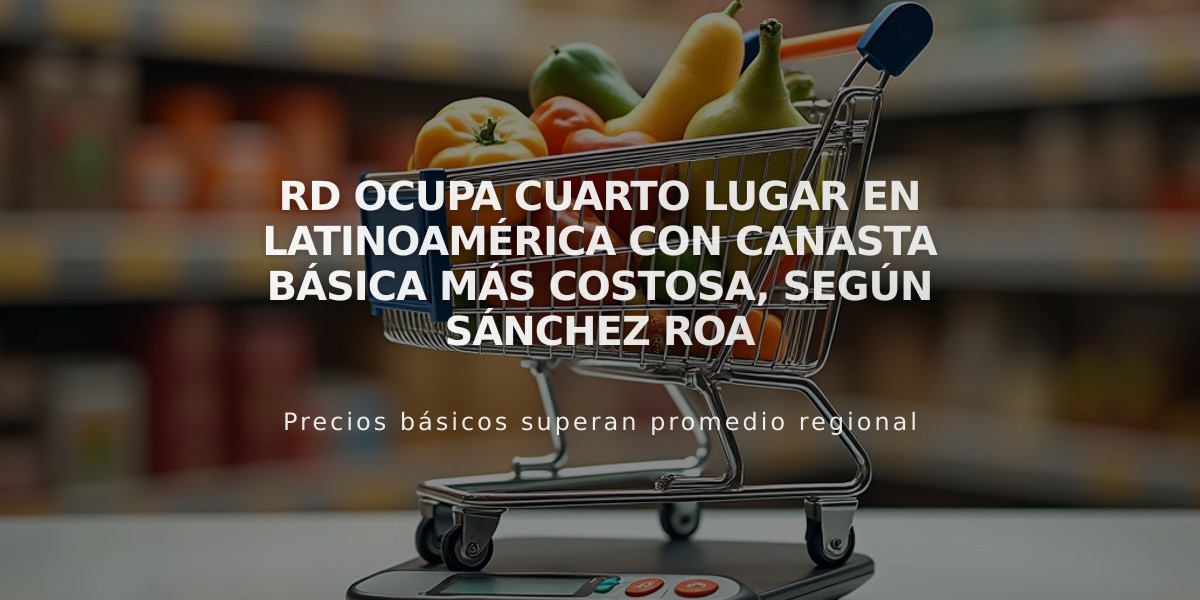 RD ocupa cuarto lugar en Latinoamérica con canasta básica más costosa, según Sánchez Roa